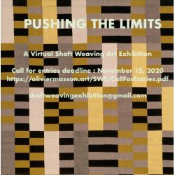 "Pushing the limits" curators